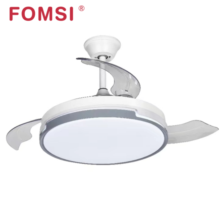FM-FSD829